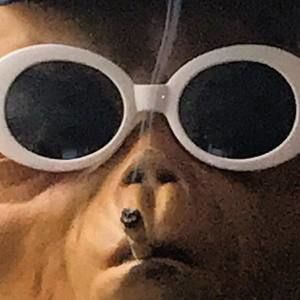 Meet your Posher, Garrett